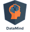 datamind_small (1)
