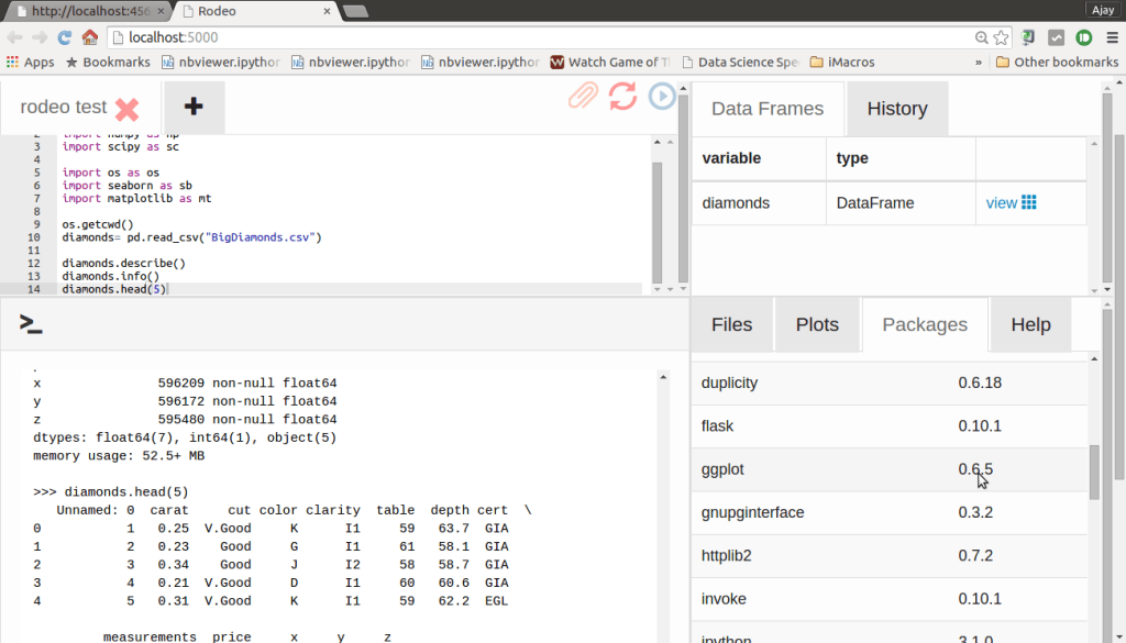 Python Rodeo Rodeo – Awesome Python IDE based on same tech as RStudio IDE – DECISION ...